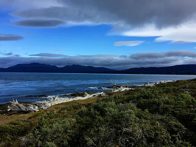 Punta Arenas 4 - Thumb